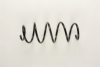 FIAT 46751138 Coil Spring